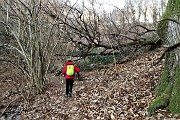 38 Sul sent. 507 in ombra sul versante nord del Canto Alto